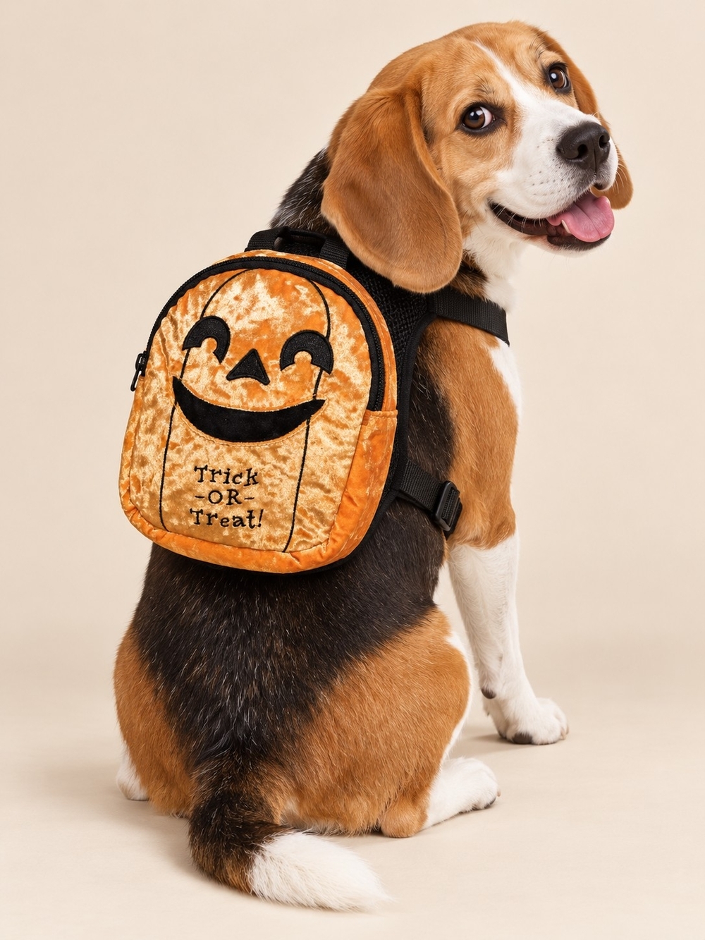 Halloween Pumpkin Dog Backpack - Orange